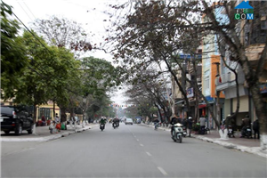 Cho thuê toà nhà mặt đường Trần Thành Ngọ, Kiến An, Hải Phòng vị trí cực đẹp